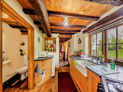 a kitchen with a sink and a toilet at 2 Bed in Craven Arms oc-95107 in Kerry