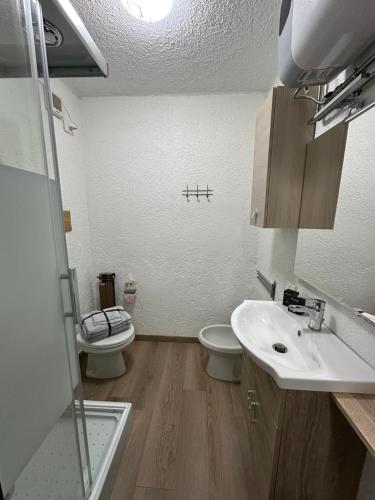 a bathroom with a toilet and a sink and a shower at Piazzetta Montecampione in Pian Camuno