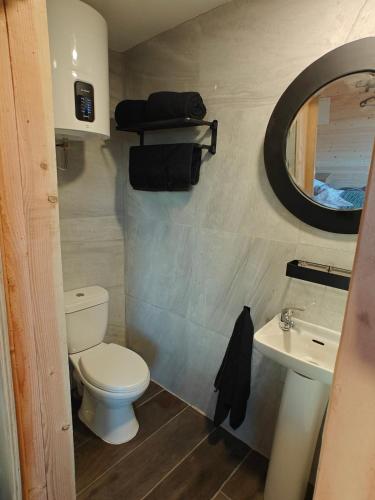 a bathroom with a toilet and a sink and a mirror at The Perch - Romantic Cabin with Sunset Views in Gurteenulla