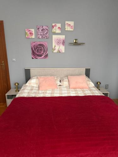 a bed with a red blanket and two pink pillows at Laganini Cozy Home in Velika Mlaka