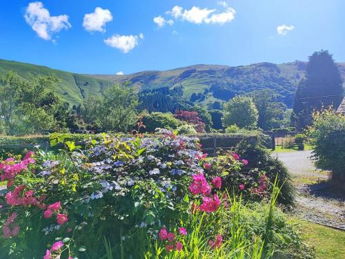 a garden with flowers and mountains in the background at Springfield House in Grasmere