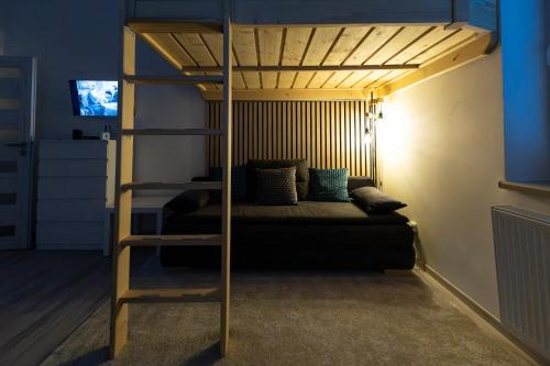 a bedroom with a bunk bed with a ladder at Apartmán Denisa in Rokytnice nad Jizerou