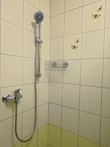 a shower with a shower head in a bathroom at Studio Ariel in Veľký Meder