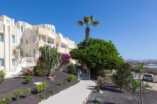a walkway in front of a building with a palm tree at R2 Maryvent Beach Apartments in Costa Calma