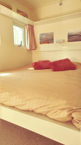 a bedroom with a large bed with red pillows on it at The Hyacint House in Den Andel