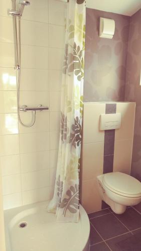 a bathroom with a toilet and a shower curtain at The Hyacint House in Den Andel