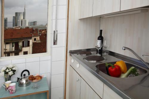 una cucina con un lavandino con frutta e verdura dentro di Residence Giusti 6 a Milano