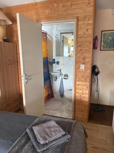 a bedroom with a bathroom with a shower and a toilet at La Casa aan Zee in Ellemeet