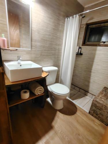 a bathroom with a white toilet and a sink at CasaAndina in Malalcahuello