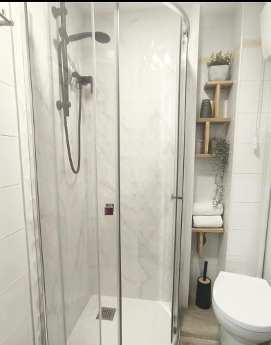 a shower stall in a bathroom with a toilet at Plaza de la Torre in Pontevedra