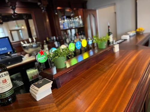 a bar with potted plants on a wooden counter at Viking House Hotel Donegal in Kincasslagh