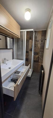 a small bathroom with a sink and a shower at Comfortable Chalet in Berkhout
