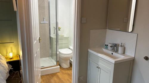 a bathroom with a toilet and a sink and a shower at Jack & Jill Inn Pub in Hassocks