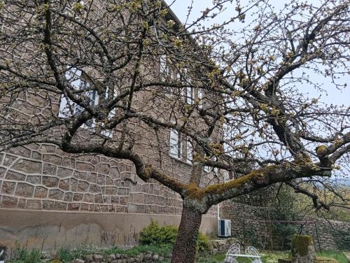 a tree in front of a brick building at Les Lavandières in Satillieu