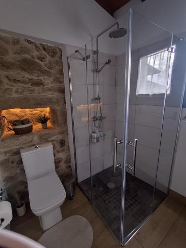 a bathroom with a toilet and a glass shower at Casa Mitola in Congostro