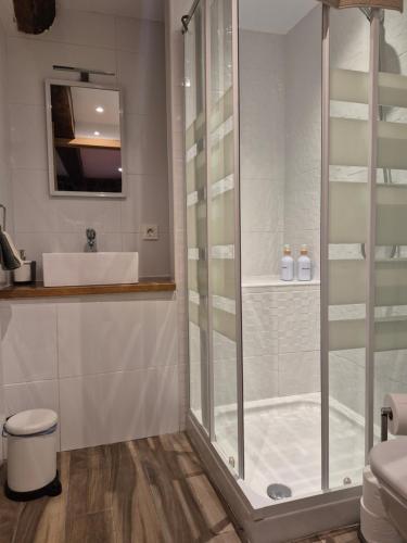 a bathroom with a shower and a sink at Loft Miradas al Sella in Corigos