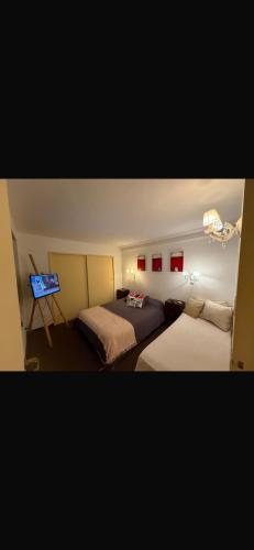 a bedroom with two beds and a television in it at Hipolito Argentina in Buenos Aires