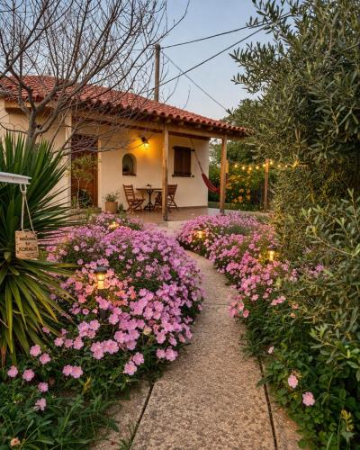a garden with pink flowers in front of a house at Hakuna Matata in Skala Eresou