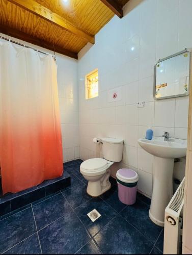 a bathroom with a toilet and a sink at Hostal El Amigo Lucho in San Pedro de Atacama