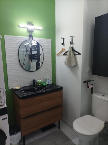 a bathroom with a sink and a mirror and a toilet at chambre double in Poitiers