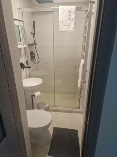 a bathroom with a shower and a toilet and a sink at Central Studio in Târgu Secuiesc