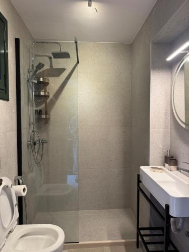 a bathroom with a shower and a toilet and a sink at Ntina Apartment - Loggos, Paxos in Longós