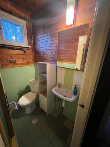 a small bathroom with a toilet and a sink at Chata Pod Bílým kamenem in Doksy
