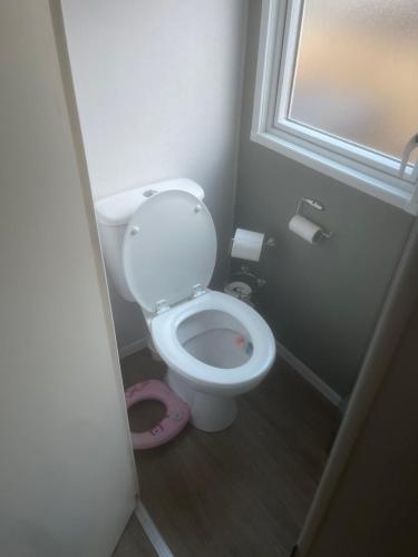 a small bathroom with a toilet with a pink bowl at Neal 6 berth static rental in Skegness