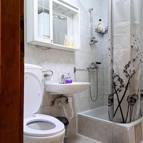 a bathroom with a toilet and a sink and a shower at Sunstation in Šarengrad