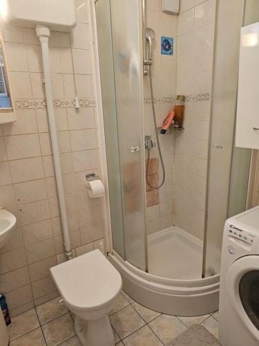 a bathroom with a shower and a toilet and a sink at Apartman u Velikoj Gorici Željko in Velika Gorica