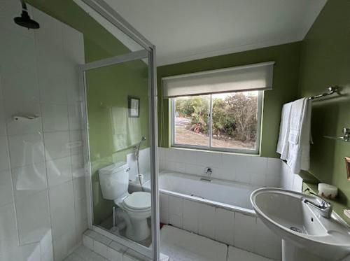 a bathroom with a toilet and a sink and a window at Restio in Agulhas
