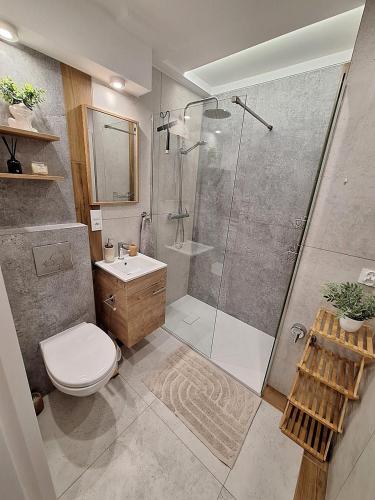 a bathroom with a shower and a toilet and a sink at Apartament TARNÓW LWOWSKA CENTRUM in Tarnów