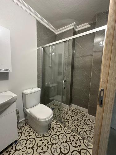 a bathroom with a toilet and a shower at Marin konaklama in Pendik