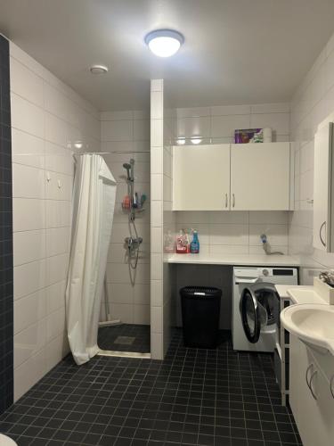 ein Badezimmer mit Dusche, Waschbecken und Waschmaschine in der Unterkunft Kattby in Hammarland