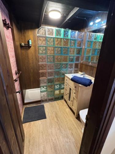 a bathroom with a shower and a sink and a toilet at Casa de Aldea EL Fusu in Taranes