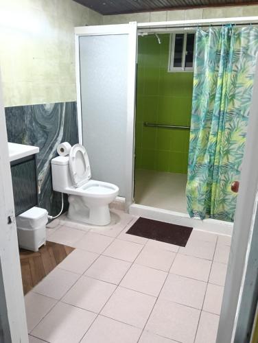 a bathroom with a toilet and a shower at Hostal Dream House in San Andrés
