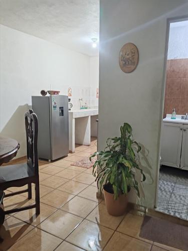 kuchnia z lodówką, stołem i rośliną w obiekcie Apartment 2 w mieście Santa María Tonantzintla