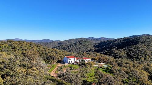 an aerial view of a house in the middle of a forest at Finca Bravo in Cortegana