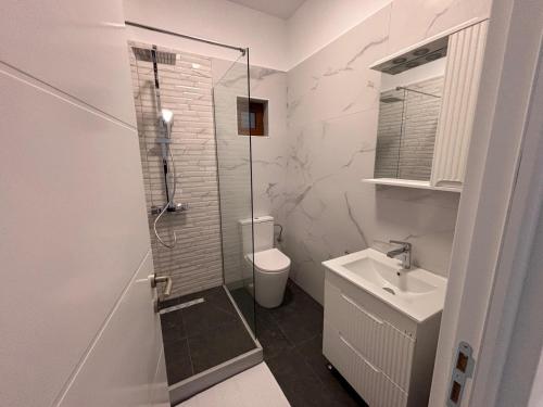 a bathroom with a shower and a toilet and a sink at Stadium Side Rooms in Craiova