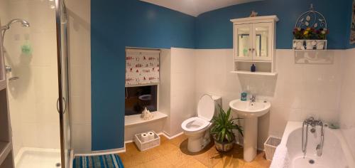 a bathroom with a toilet and a shower and a sink at Glan Morfa in Morfa Nefyn