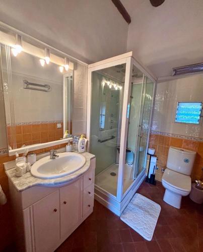 a bathroom with a shower and a sink and a toilet at Cal Isabel in Pobla de Montornés