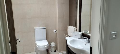 a bathroom with a white toilet and a sink at Roseville in Limerick