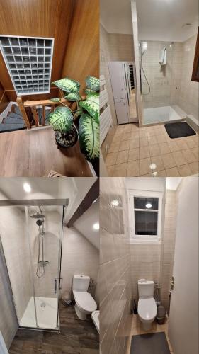 four pictures of a bathroom with a shower and a toilet at Le GIGI in Antony