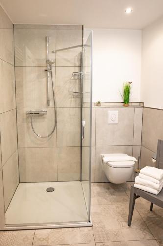 a bathroom with a shower and a toilet at Ferienwohnung am Kirchplatz in der Altstadt in Rinteln