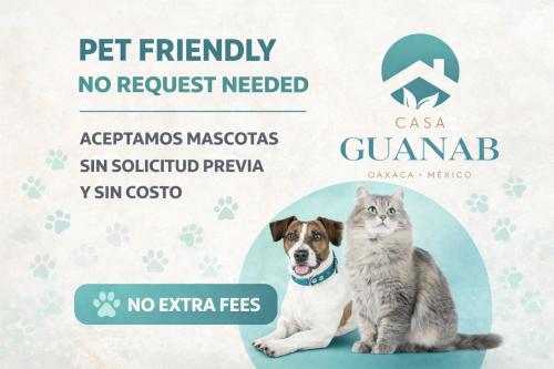 a dog and a cat sitting next to a sign that says no request needed at San Jerónimo Casa Oaxaca in Oaxaca City