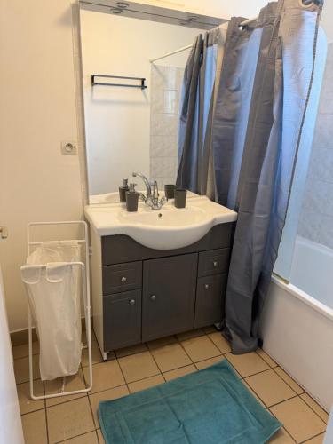 a bathroom with a sink and a shower at Maison familiale in Gonesse