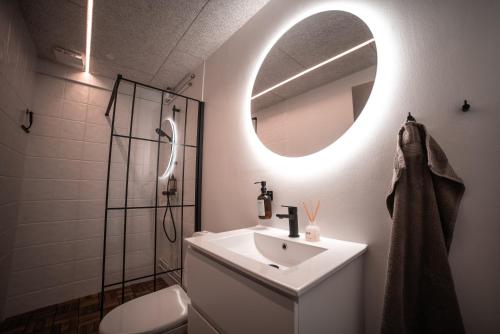 a bathroom with a sink and a mirror at Modern Apartment With Fitness in Hejls