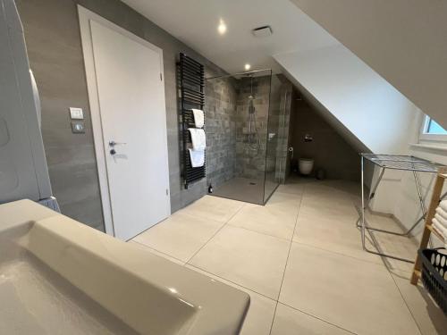 un bagno con lavandino e doccia in vetro di La Grange Alsacienne a Westhouse