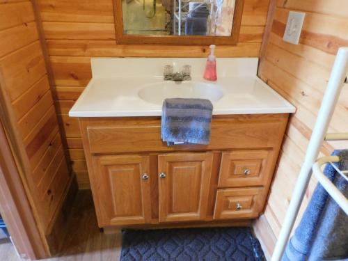 a bathroom with a sink and a mirror at Historic Matewan House Lodging in Matewan