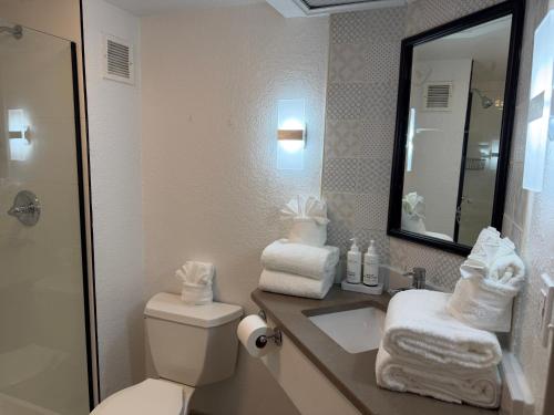 a bathroom with a toilet and a sink and a mirror at Wingate by Wyndham Jacksonville FL in Jacksonville